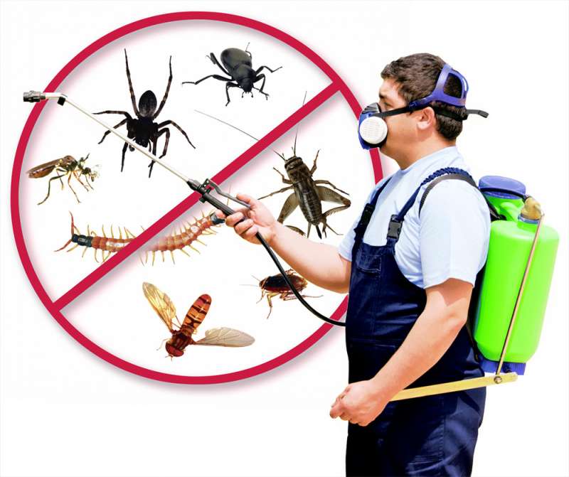 24 Hour Emergency Pest Control Services Near Atlanta GA Home Safe   24 Hour Emergency Pest Control Services 009 